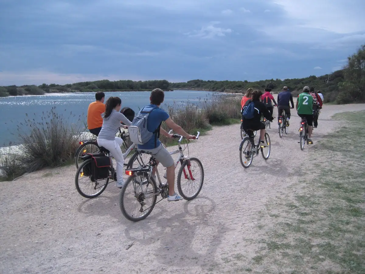 alquiler bicicletas albufera valencia