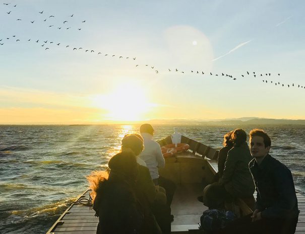 Paseos en barca por la Albufera de Valencia