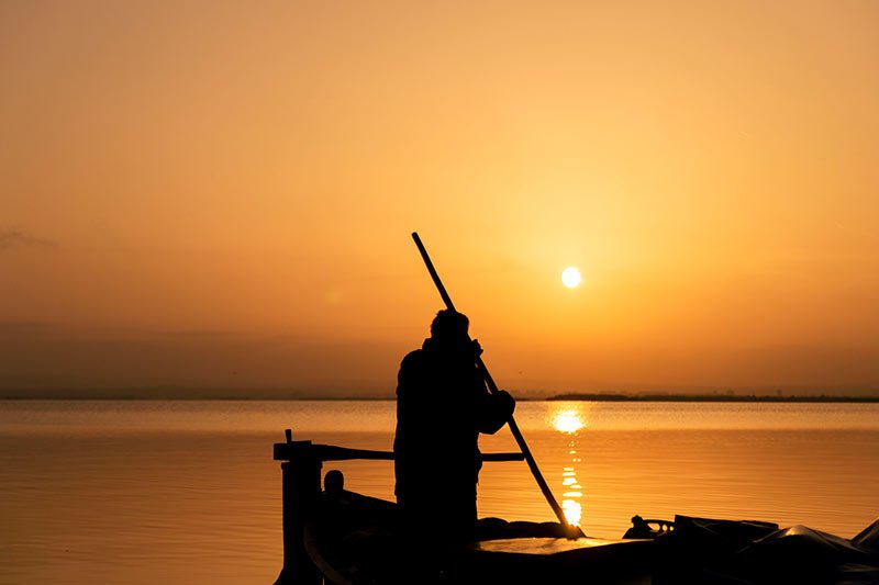 pasear por la albufera