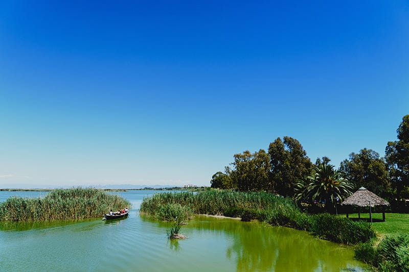 paseos por la albufera de valencia