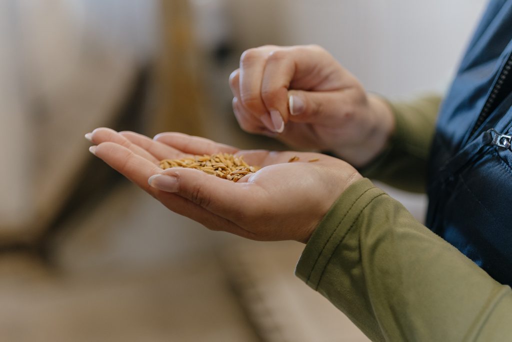 ActividadAlbuferaFoods-VisitAlbufera-63