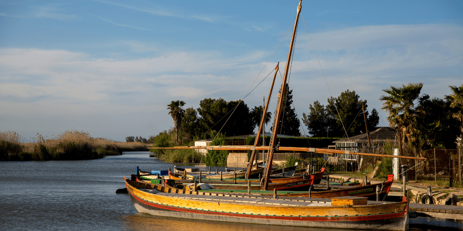 Barcos de vela latina en la Albufera
