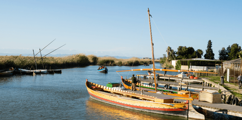 Barcos de vela latina