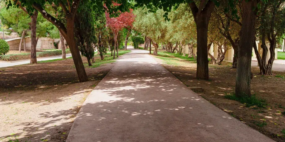 Jardín del Turia Valencia
